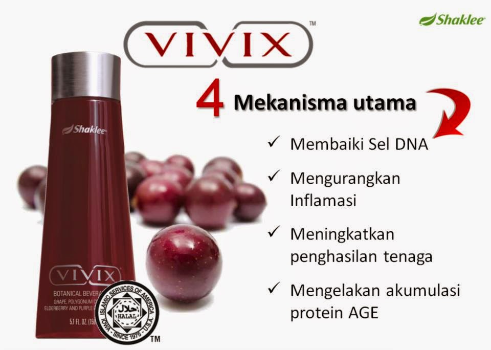 4 mekanisma utama peranan vivix