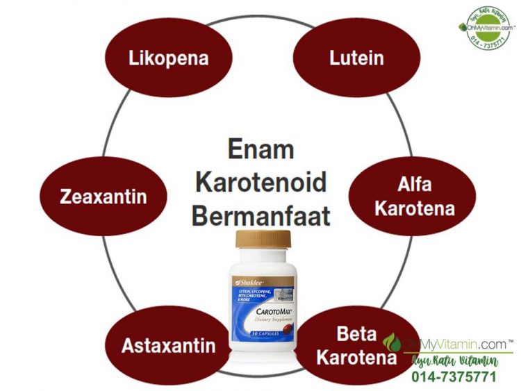6 karotenoid yang ada dalam carotomax ® shaklee