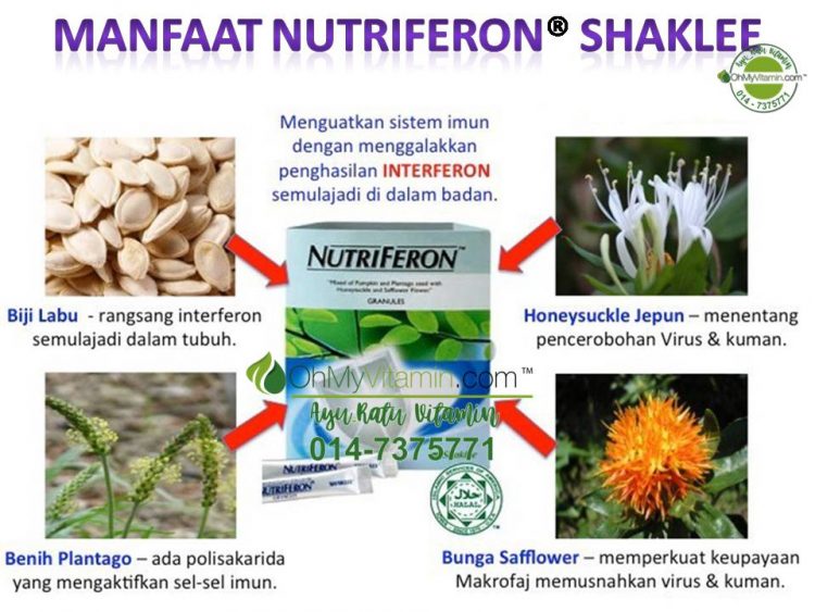 MANFAAT NUTRIFERON ® SHAKLEE