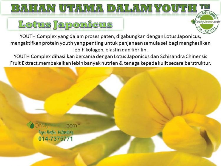 5 BAHAN UTAMA DALAM  YOUTH™ LOTUS JAPONICUS