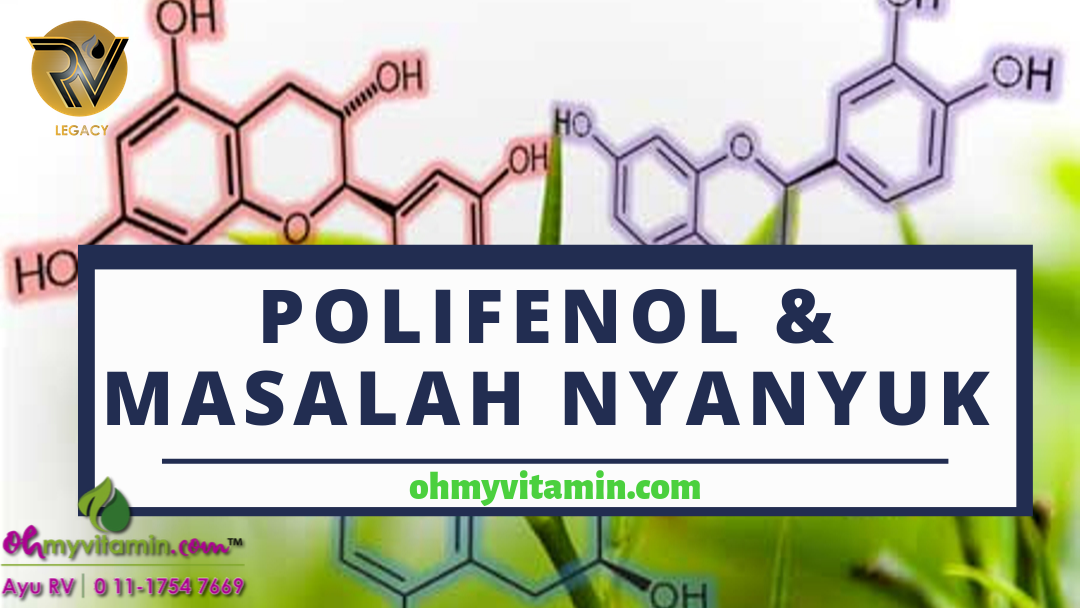 POLIFENOL BANTU ATASI MASALAH NYANYUK DAN TINGKATKAN MEMORI